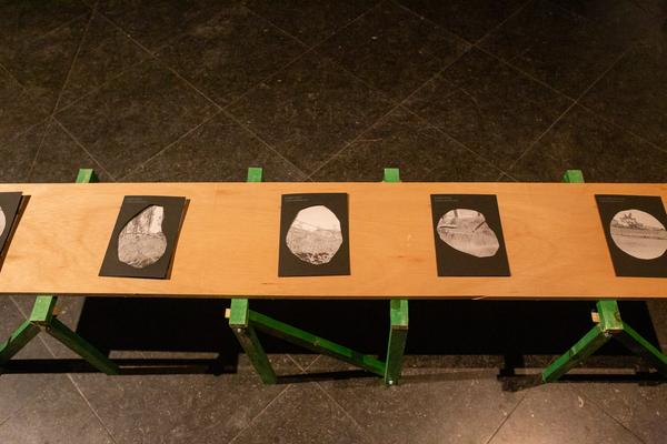 (image : Leontien Allemeersch) (image : Leontien Allemeersch)